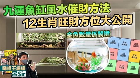 魚缸可以放財位嗎|養魚=聚財！專家曝「魚缸忌放2地方」：大小毛病恐不。